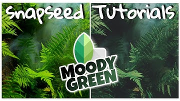Moody Green  Photo Editing |  Snapseed Presets | Free Mobile Photo Editing