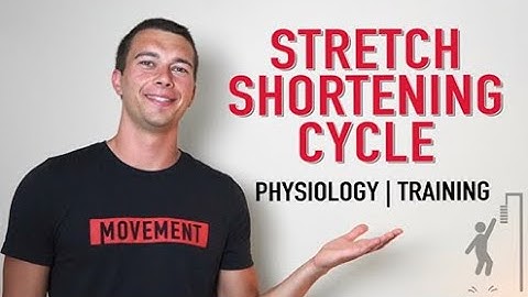 Stretch Shortening Cycle Explained | Physiology and Training the SSC