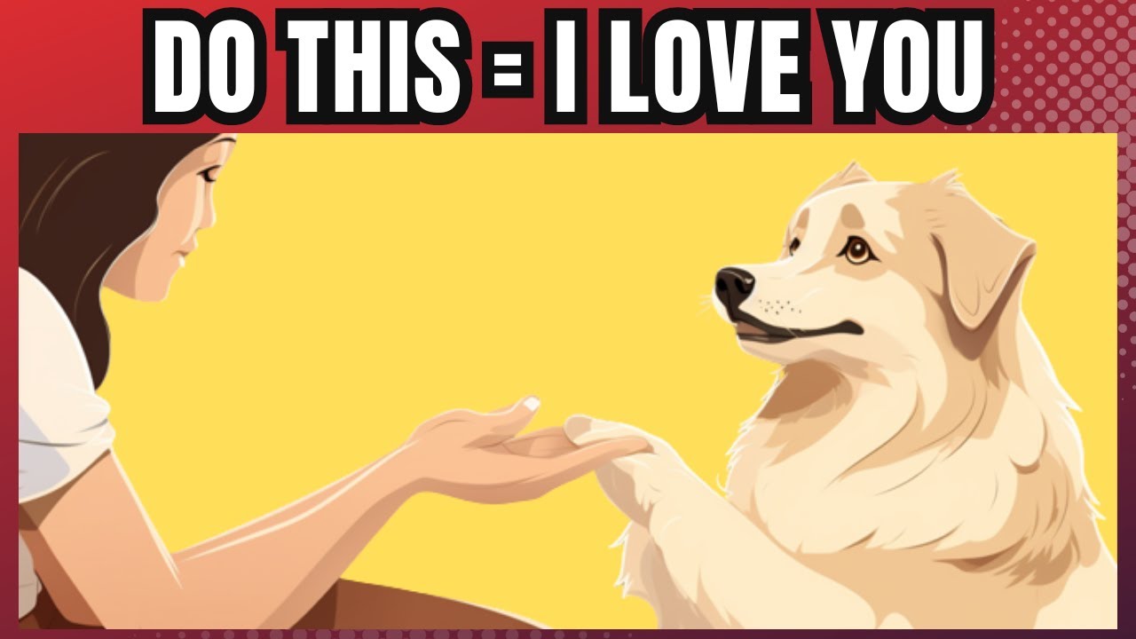 15 Ways to Tell Your Dog I Love You (So They Can Understand) YouTube