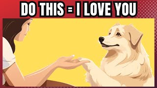 15 Ways to Tell Your Dog I Love You (So They Can Understand)