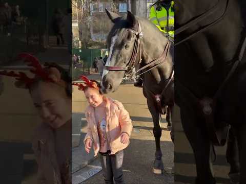 Police horse called old Walter loves  loves the little girls reindeer antlers