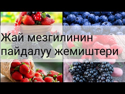 Video: Жай мезгилинде бош убактыңызда эмне кылуу керек