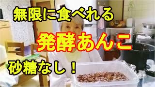 【砂糖なしの発酵あんこ】天然の甘味でダイエット！