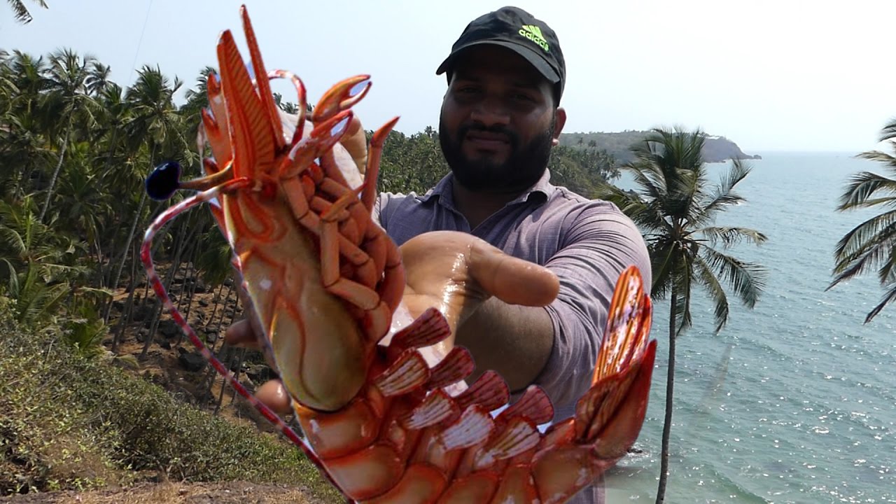 Big Shrimp Fishing | Prawns Fishing | Prawns Catching Videos street food | STREET FOOD