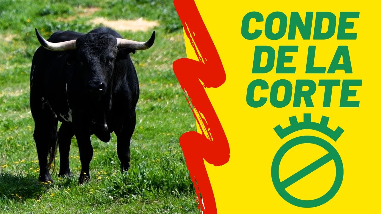GANADERÍA CONDE DE LA CORTE | TOROS 2022 🐂 (reportaje completo)