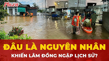 Đâu là nguyên nhân khiến Lâm Đồng ngập lụt chưa từng có? | Tin nhanh