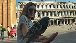 Кормим голубей слабительным в Венеции