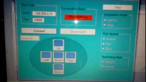 12- Robotic Fish Design and Implementation. Doctoral Work, 2015.