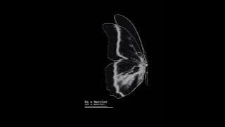 River Ashwood_Starlight Code (Trending Vers.)