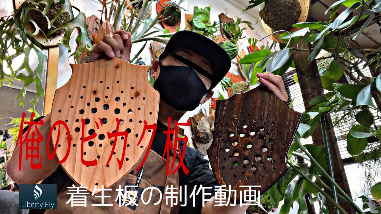D.I.P. ビカクシダ着生板 養生板 / dip着生板　dip鉢 着生板-盾型】19 5cm×16cm 蓄光 ビカクシダ 溝付き｜Yahoo