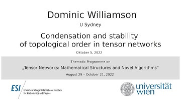 Dominic Williamson - Condensation and stability of topological order in tensor networks