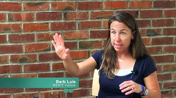 MERIT - Transforming Teachers to Transform the Learning Experience for Students