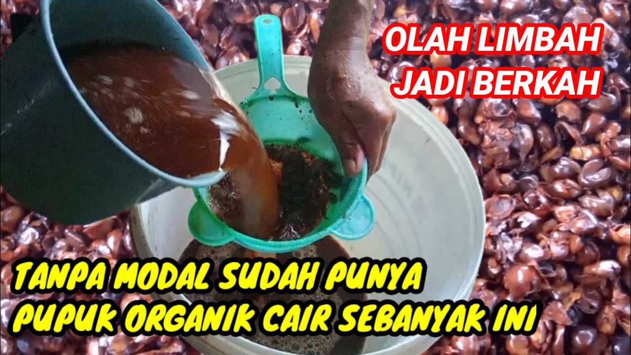 КАК СДЕЛАТЬ ЖИДКОЕ ОРГАНИЧЕСКОЕ УДОБРЕНИЕ ИЗ ОТХОДОВ КОФЕЙНОЙ КОЖУРКИ