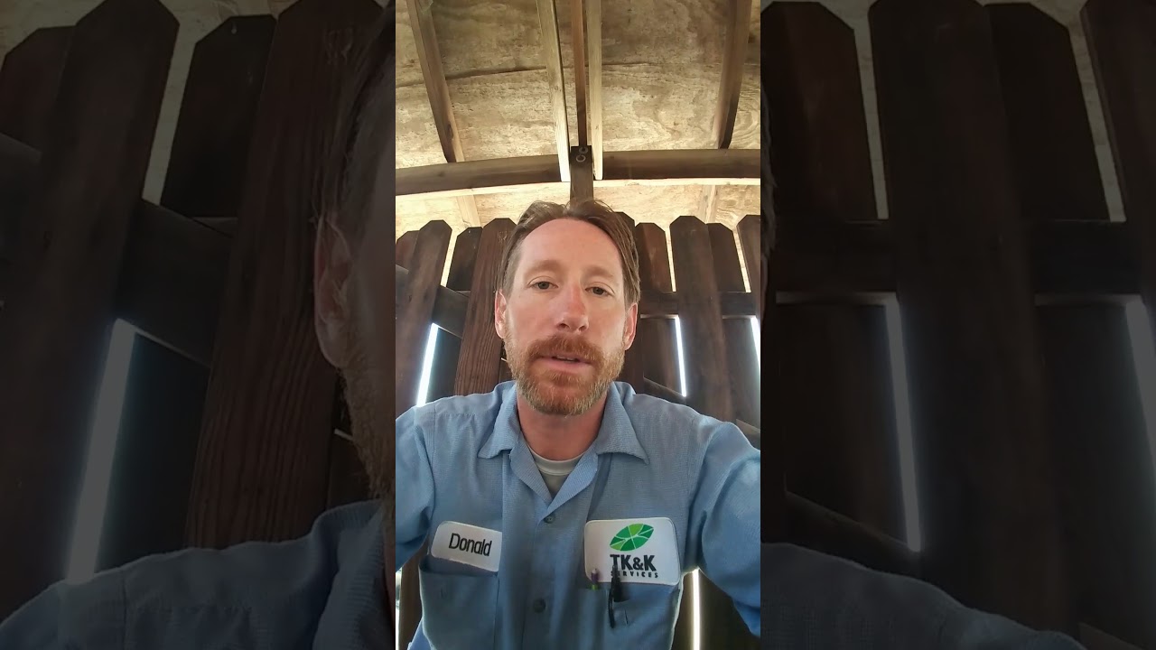 Why are you not as productive as you want to be? mowing business start up