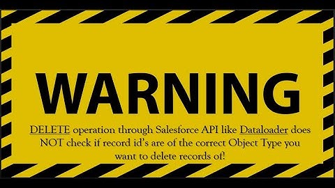 Warning: Delete Through Salesforce API Does Not Check the Object Type ID.