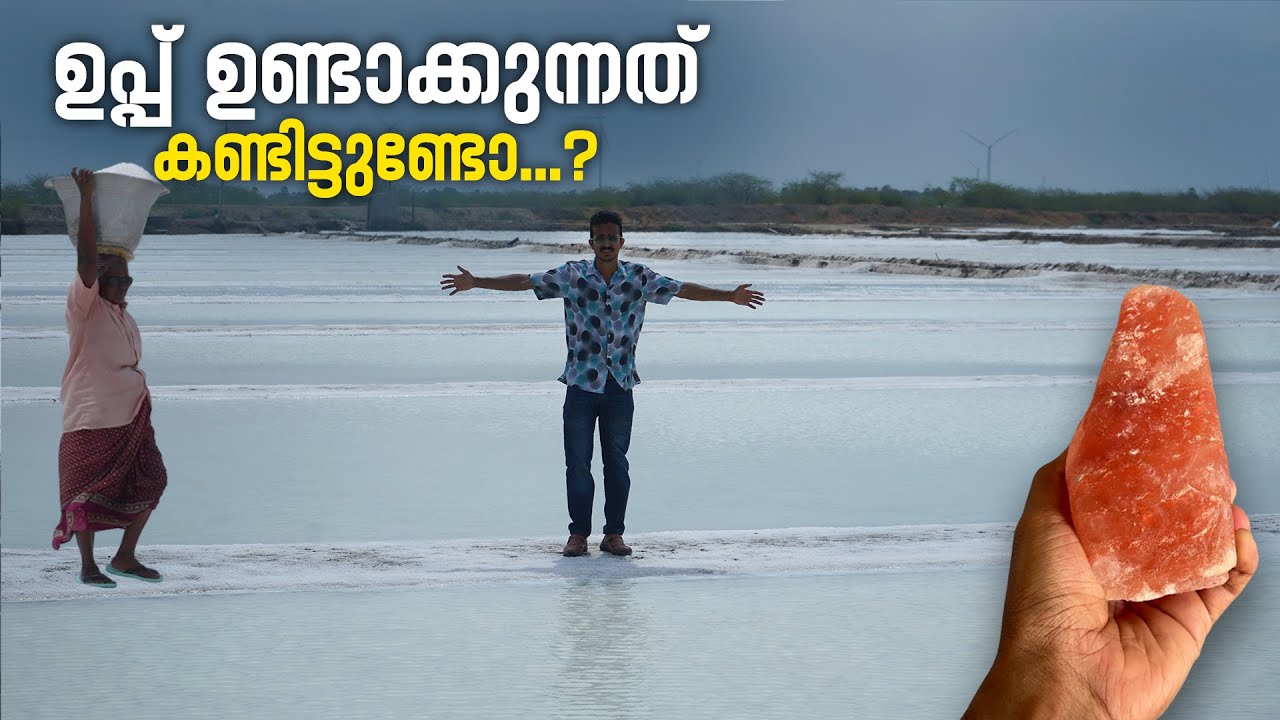 ഉപ്പ് ഉണ്ടാക്കുന്നത് കണ്ടിട്ടുണ്ടോ | Sea Salt Production | Salt Making Malayalam | Thoothukudi