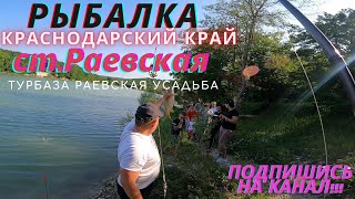 Рыбалка:Краснодарский Край ст.Раевская Турбаза(платник) Раевская Усадьба