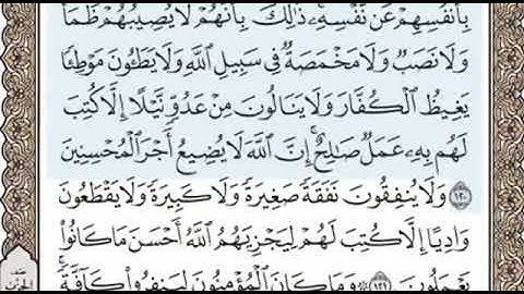 سورة التوبة الصفحة 206 الشيخ محمد صديق المنشاوي