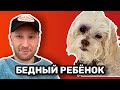 ТОШЕ сделали операцию // Бедный ребёнок