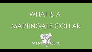 What Is A Martingale Collar - The What, Why, and How