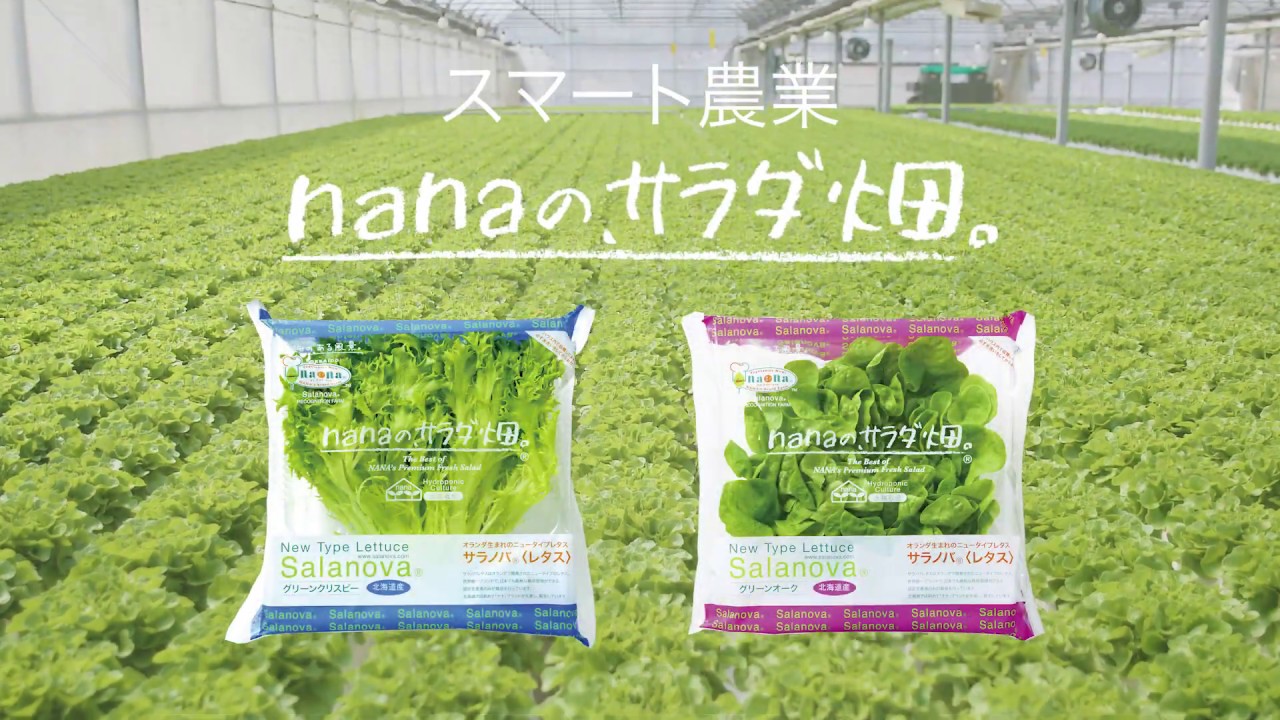 有限会社アド・ワン TVCM「サラノバレタスのnana篇」