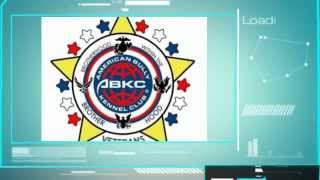 Midwest Bully Revelation Ii