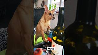 я девочка я хочу колечко. шутки про украшения. я хочу колечко и вина три. я девочка хочу и колечко вина. девушка хочет на ручки.