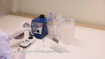 1  Preparation of inoculum Portuguese