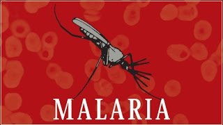 Malaria