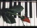 First Love by Utada Hikaru - piano