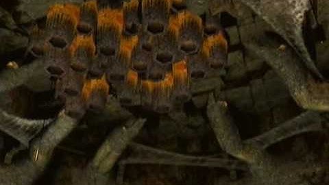 Metroid Prime 23% Part - 2