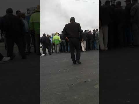 معمل بلقصيري