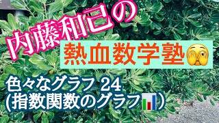 内藤和己の熱血数学塾　色々なグラフ(24) y=x^3×e^(-x)　指数関数　受験数学