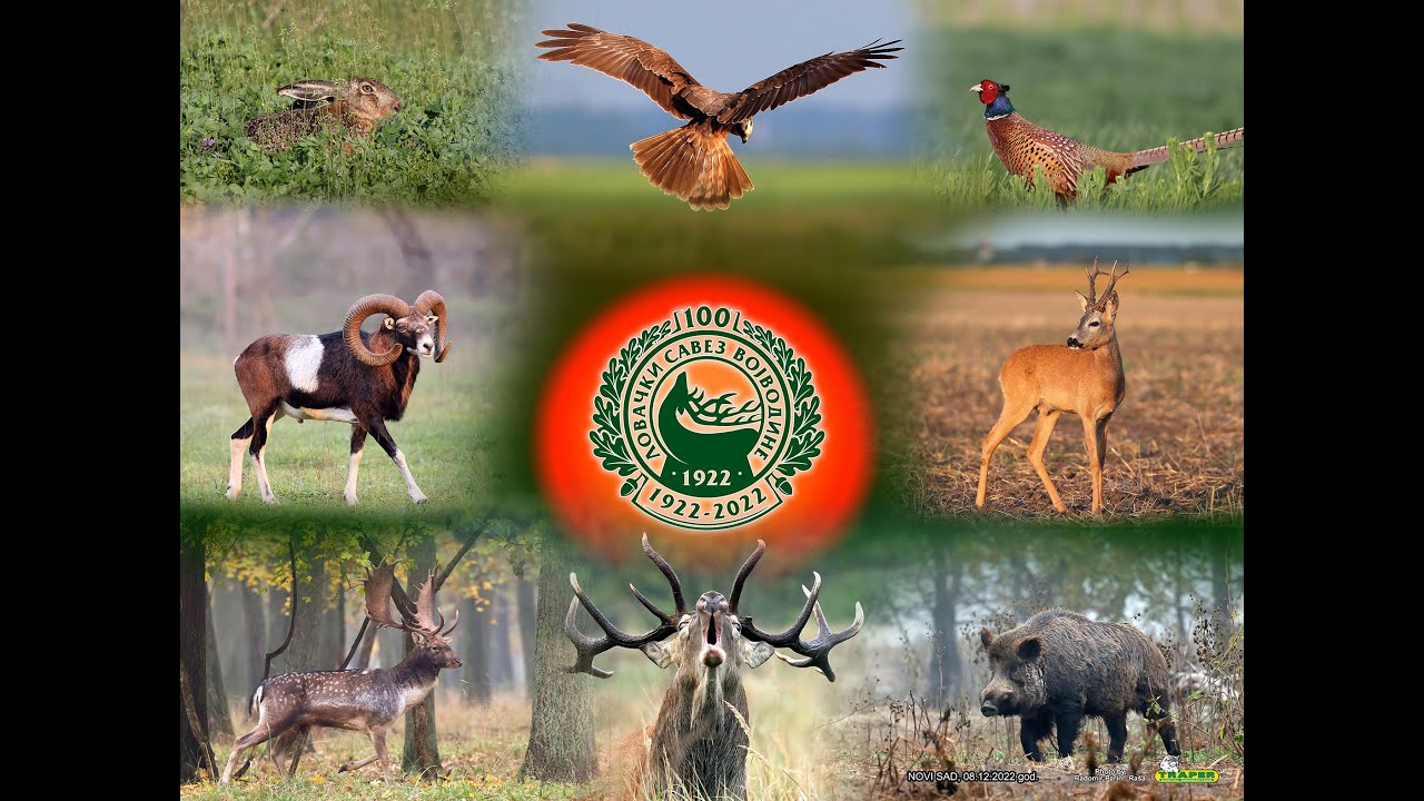 100 GODINA LOVAČKOG SAVEZA VOJVODINE - PROMO FILM