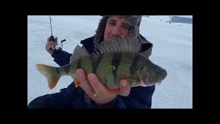 Rogojesti - Pescuit La Copca Cu Vasile Jarda