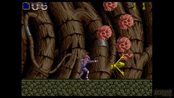 Shadow Of The Beast (Amiga) - Een speelgids en recensie - door LemonAmiga.com
