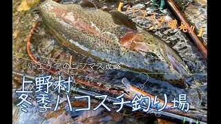【ハコスチ】C&Rエリアのニジマス攻略 in上野村 冬季ハコスチ釣り場【神流川】