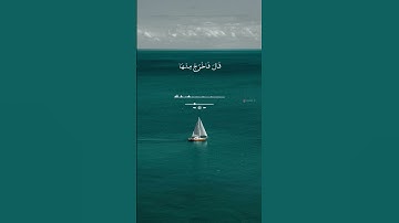 من أجمل الأصوات في تلاوة القرآن-هزغع البلوشي #ارح #تلاوة_خاشعة #قران_كريم #راحة_نفسية #تلاوات #دويتو