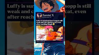 When Will Usopp Get His Own Arc?