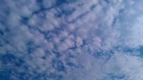 Trex 450 inverted auto