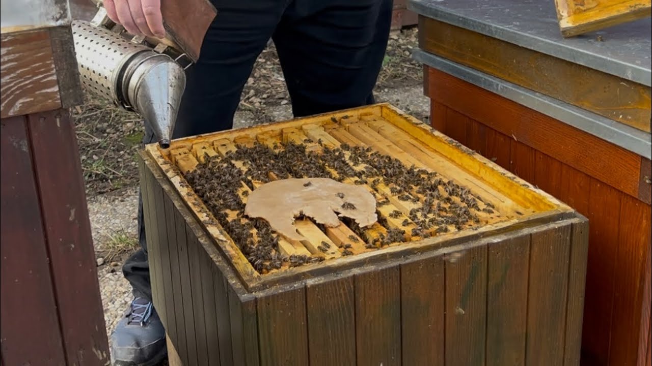 582. Aktuálna situácia ma školskej včelnici a pár slov k aplikácii ciest 