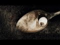 Pixies - Wild Honey Pie (John Peel Session, 1988) [Official Audio]
