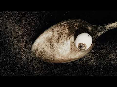 Putar Wild Honey Pie - Pixies