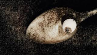 Pixies  Wild Honey Pie john Peel Session 1988  