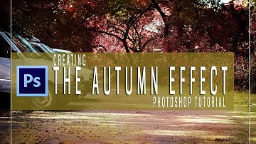Create Stunning Autumn Effect in Photoshop| Free Pro Tutorial Photoshop course Part-1