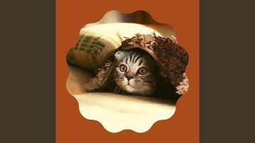 Pulsating Quiet Kittens