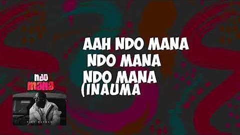 Rich Mavoko - Ndo Mana Lyric Video