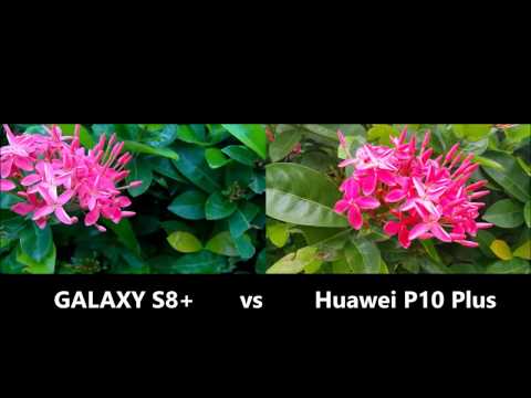 SAMSUNG GALAXY S8 vs Huawei P10 Plus