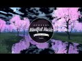 Swarvy - Kittylitter [HD]