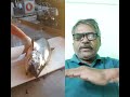 #சால்மன்மீன்#shortvideo #shortvideo #fishspecies #தமிழ்ஷாட்ஸ் #Salmon Fish #kingfish #fish#கடல்உணவு